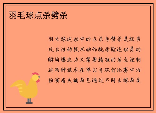羽毛球点杀劈杀