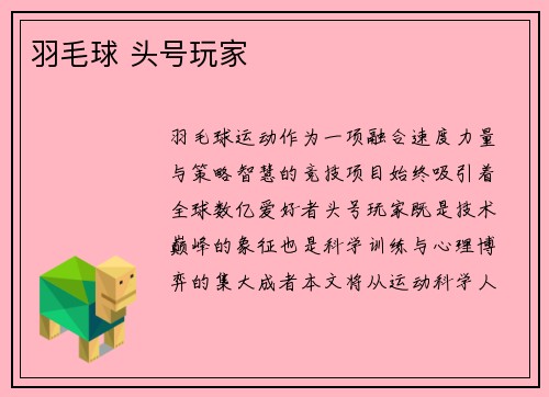 羽毛球 头号玩家