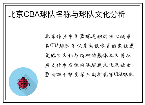 北京CBA球队名称与球队文化分析
